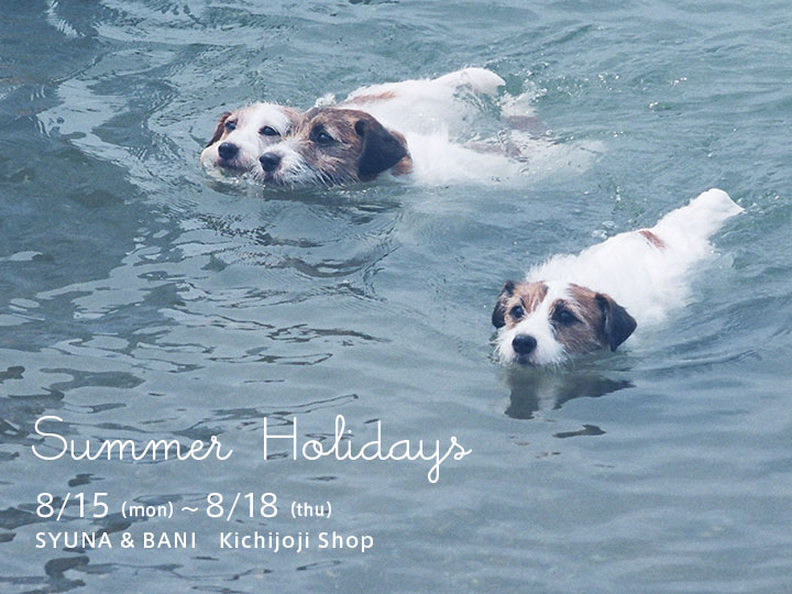 http://syuna-bani.net/blog/2016_summer_holidays.jpg