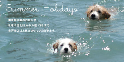 summer_holidays2014.jpg