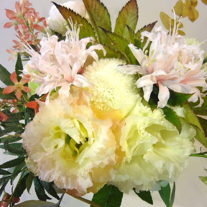http://syuna-bani.net/blog/donna_flower.jpg